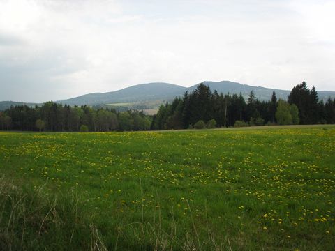 Foto 61